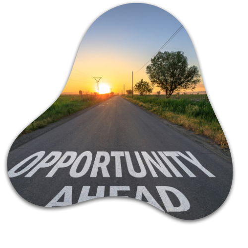 Opportunities